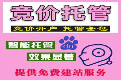 案例解读：SEM推广的秘诀与技巧